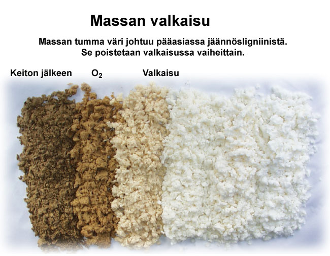 Jäännösligniini värjää massan (Mets Fibre, VTT)