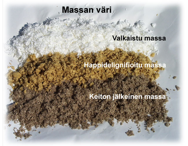 Massan väri (Mets Fibre, VTT)