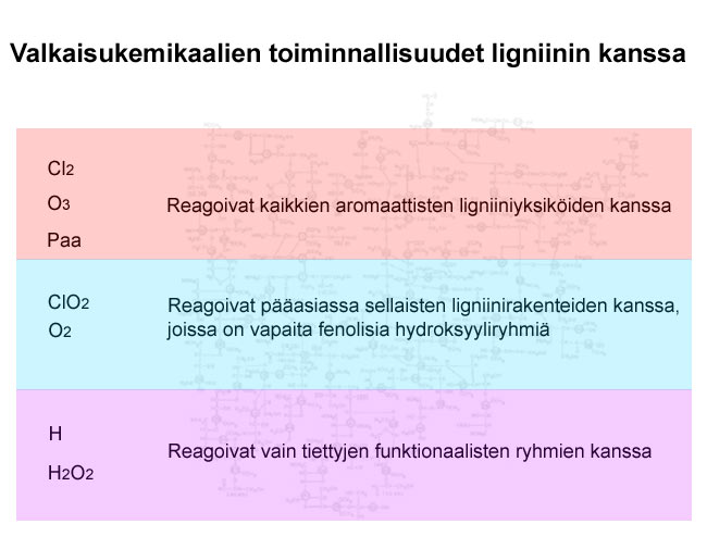 Valkaisukemikaalien toiminnallisuudet ligniinin kanssa (Prowledge)