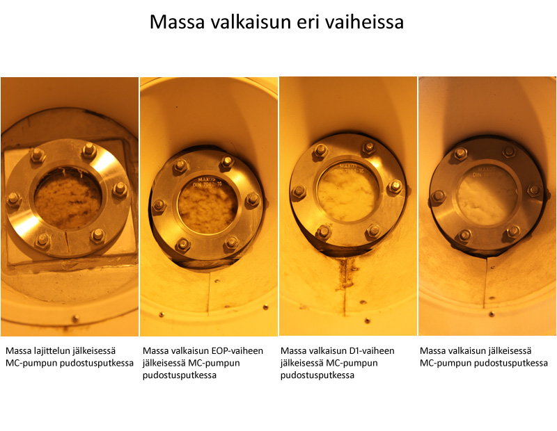 Massa valkaisun eri vaiheissa (Prowledge)