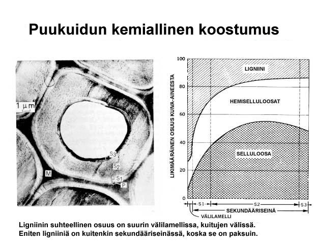 Puukuidun kemiallinen koostumus (Valmet)