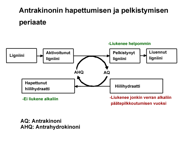 Antrakinonin reaktioiden periaate (AEL, VTT)